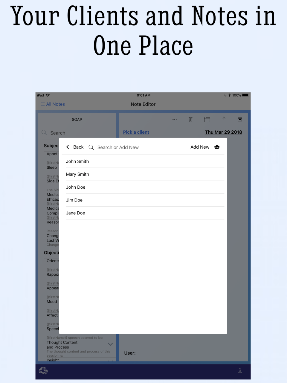 screenshot of Mimo Progress Note